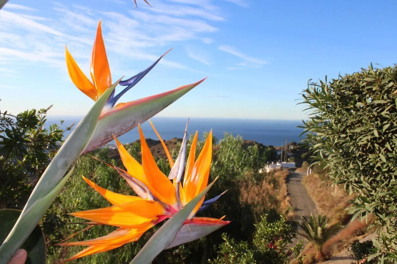 Villa Tranquila - Costa del Sol - Great Seaview - Priv Pool - 3 bed Torrox